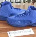 Air Retro Wings Jordan 12 Authentic 0519